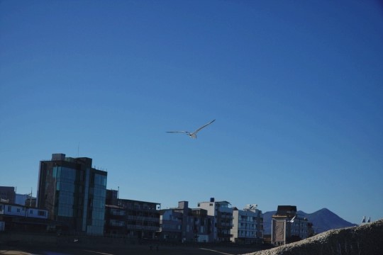  (국민건강 증진 캠페인)당뇨와 합병증,,,죽고 싶을 만큼의 고통