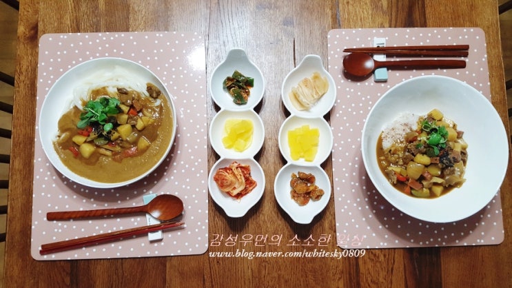  카레 밥 & 카레 우동, 당신의 선택은??