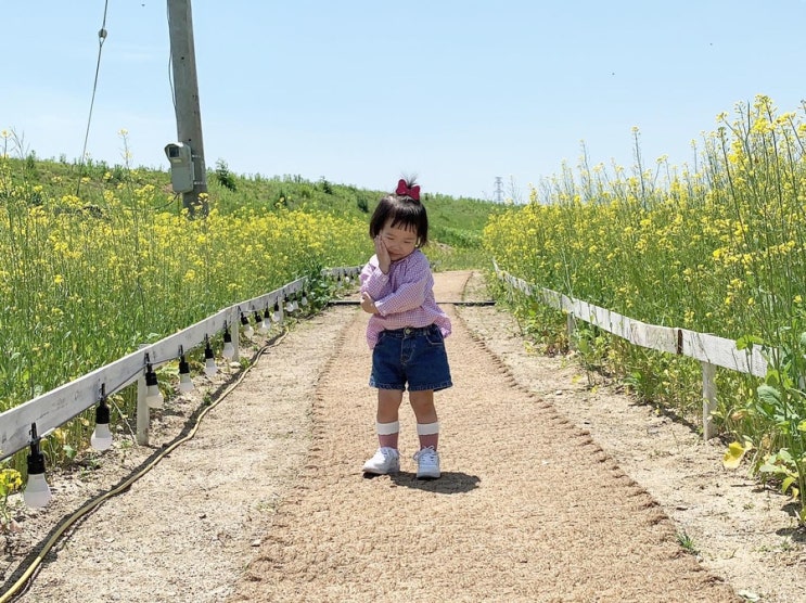  [육아일기110] 건강이 최고예요(25개월/779일~)
