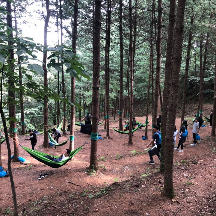  영주 국립산림치유원에서 힐링(!?)