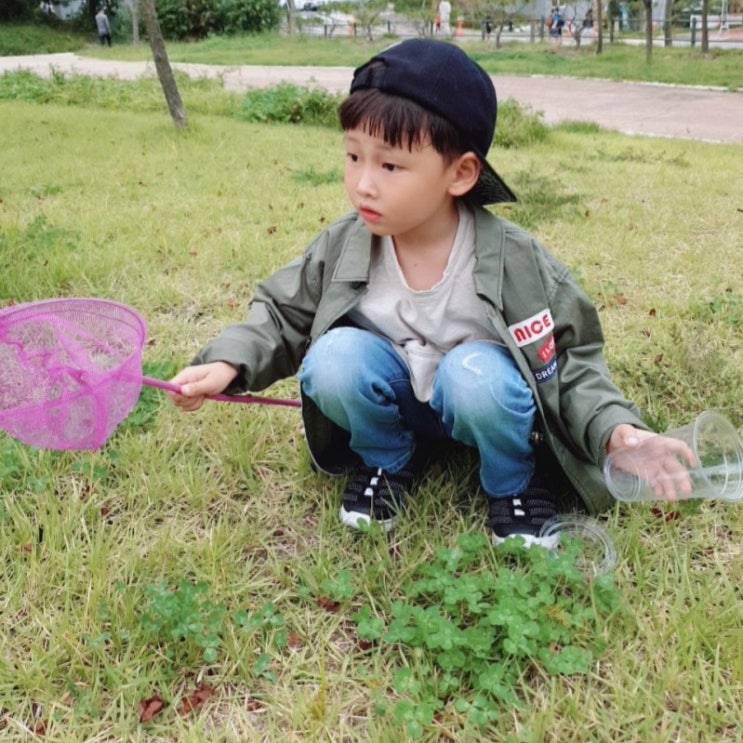  + 1984 + 868 카페아를, 곤충채집, 김병지축구클럽