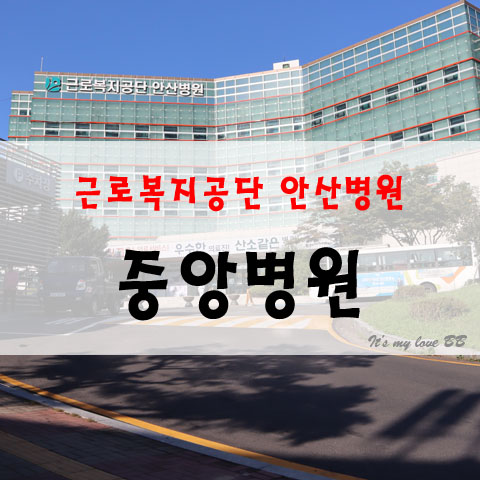 독감접종시기 안산 독감예방접종 보건소 아기독감 안산 중앙병원 6개월아기 인플루엔자 병원 무료예방접종 어린이독감 근로복지공단 안산병원 소아과 독감무료접종 일동 소아과 독감 접종부작용 독감접종시기 안산 독감예방접종 보건소 아기독감 안산 중앙병원 6개월아기 인플루엔자 병원 무료예방접종 어린이독감 근로복지공단 안산병원 소아과 독감무료접종 일동 소아과 독감 접종부작용
