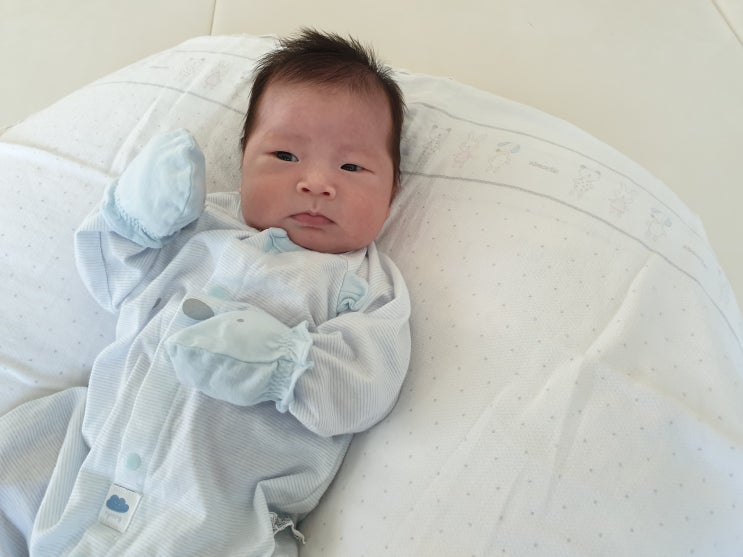  생후17일~31일/집에왔어요/누나와첫대면/남매/신생아/분유양늘리기/비씨지접종/피내용/