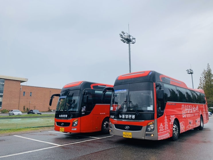  군산대학교 국제교류원 행사