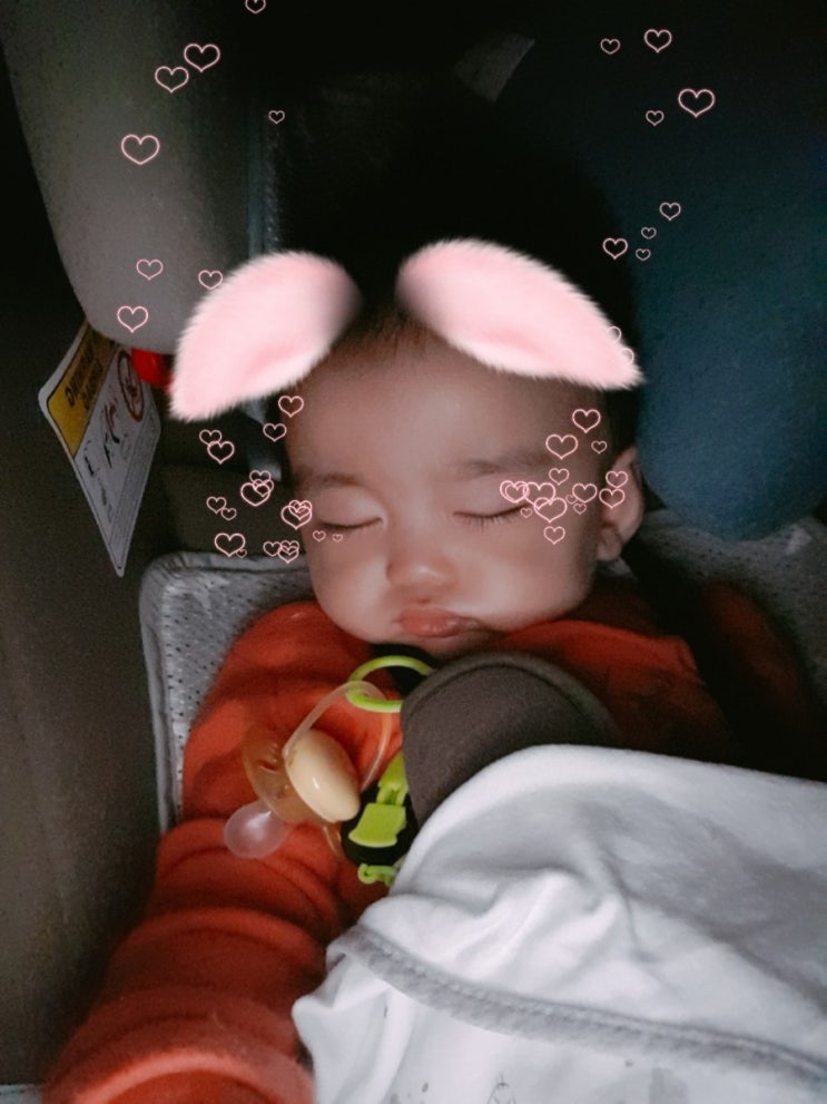  내새꾸