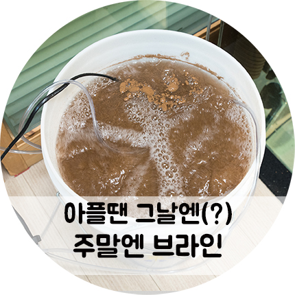 아플땐 그날엔, 주말엔 브라인쉬림프!