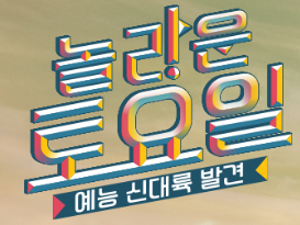 tvN 즐거운 토요일, 아이비 아하