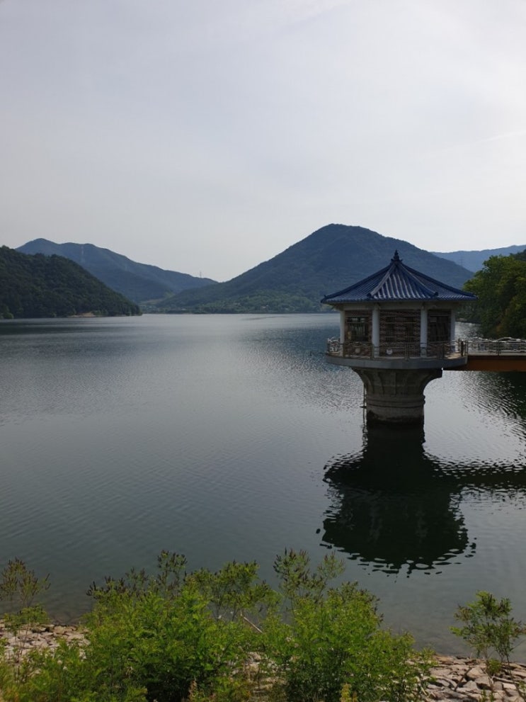  김제 가볼만한곳, 원평의 "금평 저수지" 수변로를 산책하다.