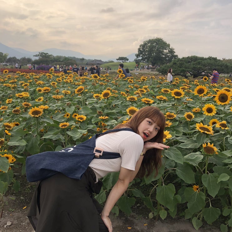  경주여행, 첫번째