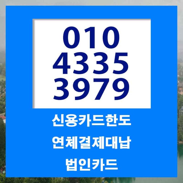  신용 카드 대납 대출 부산 대구 한도 업체 궁금증해결