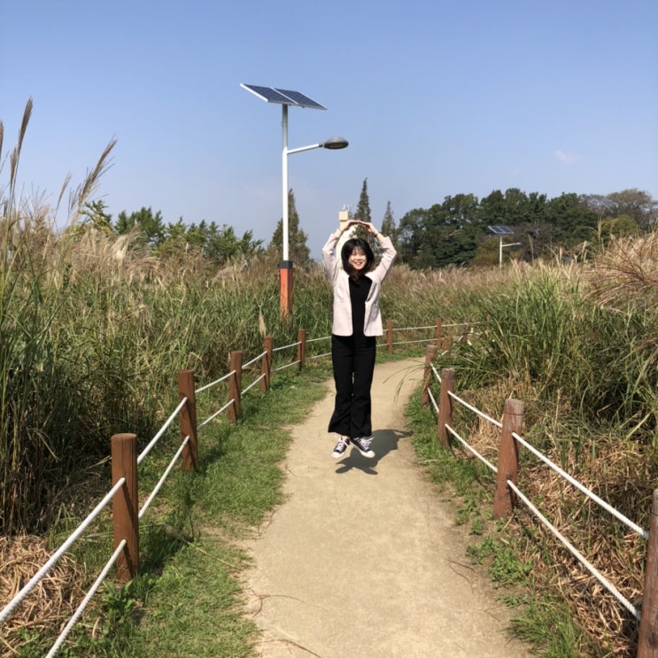  485; 나들이?
