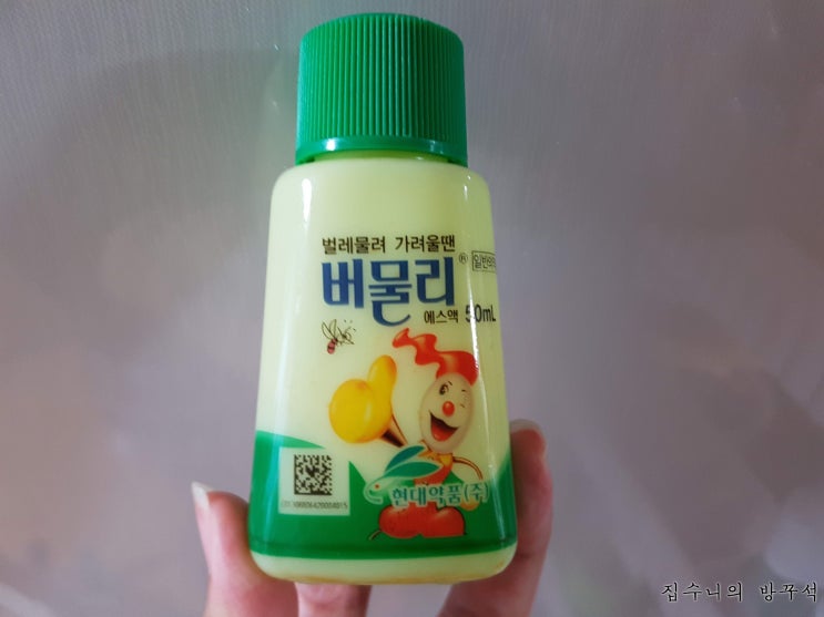  [매일매일 버리기]D+673_버물리