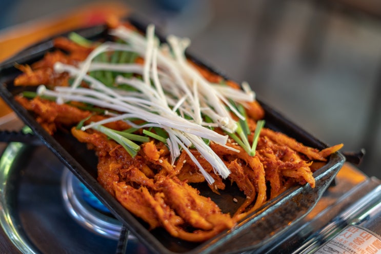 용문산 애견동반 맛집 황해식당