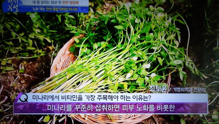  천연 종합 비타민 미나리의 효능