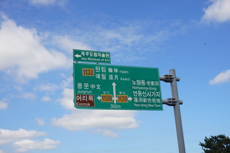  당일치기로 유랑하기 좋은 제주공항근처 가볼만한곳