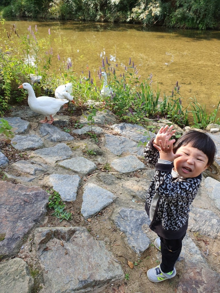  35개월 / 한국민속촌