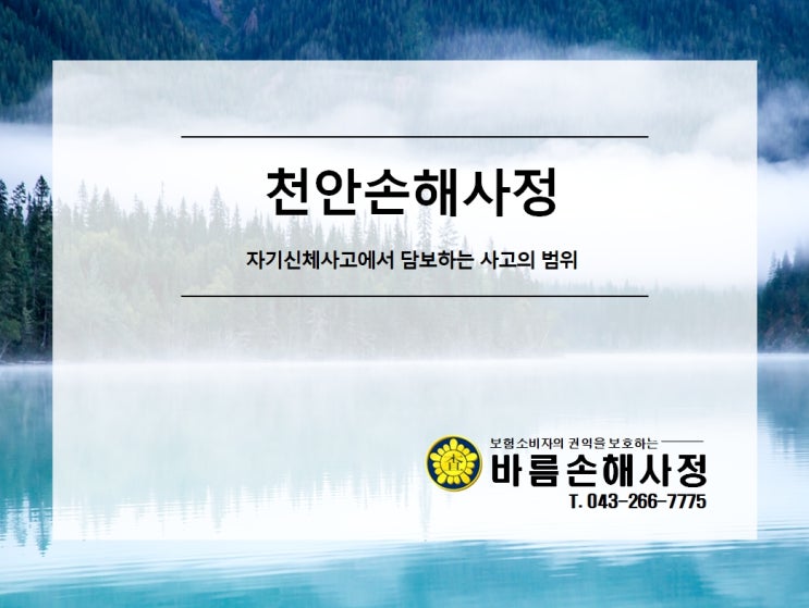  [천안손해사정] 자기신체사고에서 담보하는 사고의 범위
