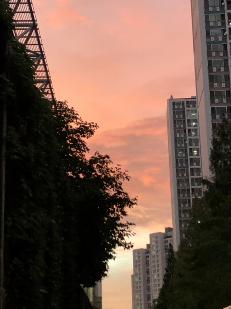  2019 늦여름 초가을