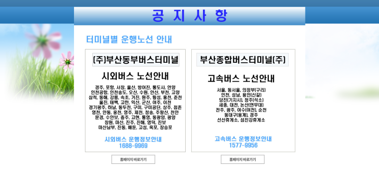  부산에서 울진 가는법