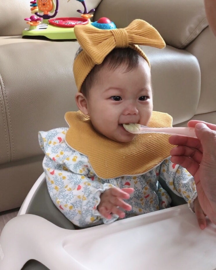  [시판이유식] 아베크파파 초기이유식