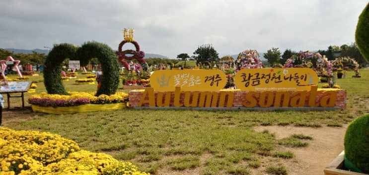  경주 황금정원나들이 첨성대 주변에서 열리다