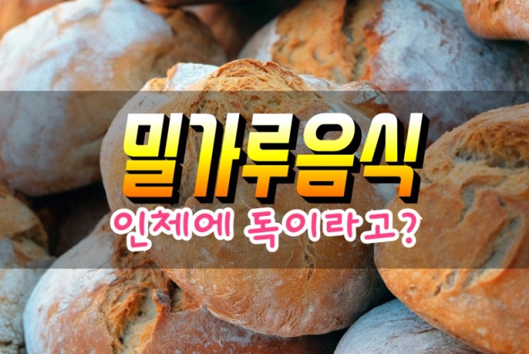  밀가루 음식이 건강에 나쁜 이유 부작용 심층분석