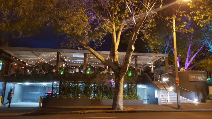  호주 취업 이직 적응기, 엄청난 부동산 옥션