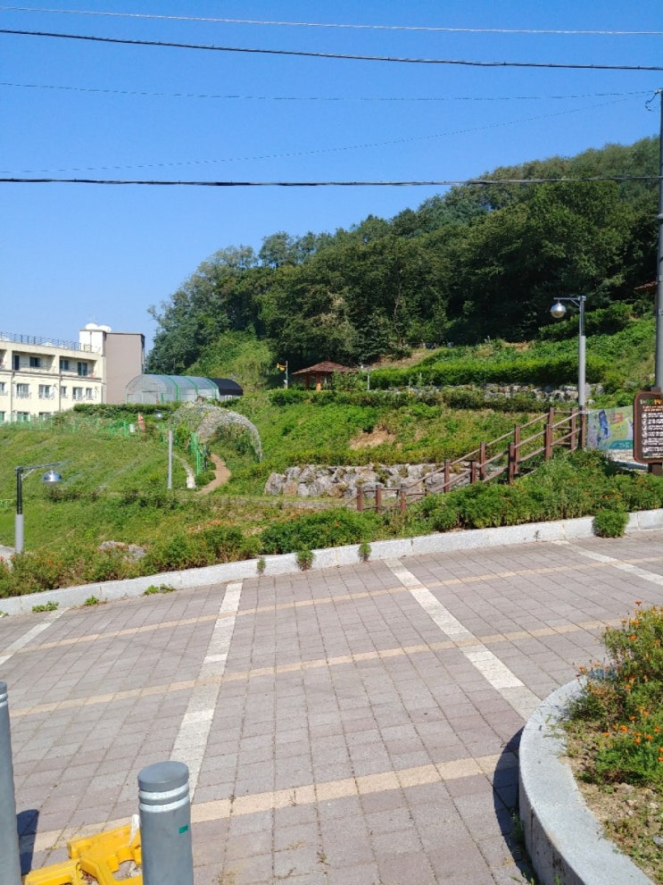  승학산 둘레길 한가롭게 걸을수 있는곳
