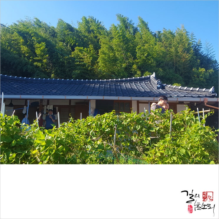  <마당 작은 집 23> 달이 부푸는 밤 201910