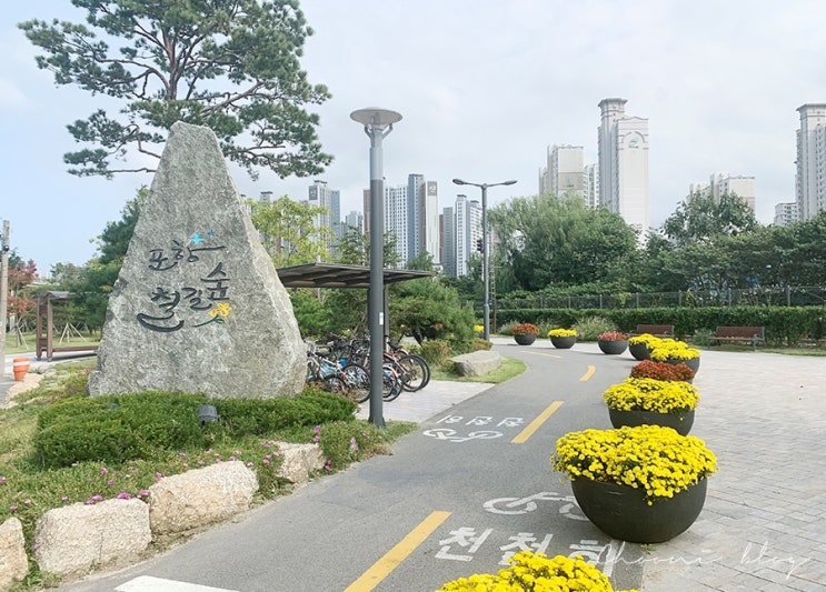  포항철길숲 (포레일) / 아이 데리고 가볼만한 곳