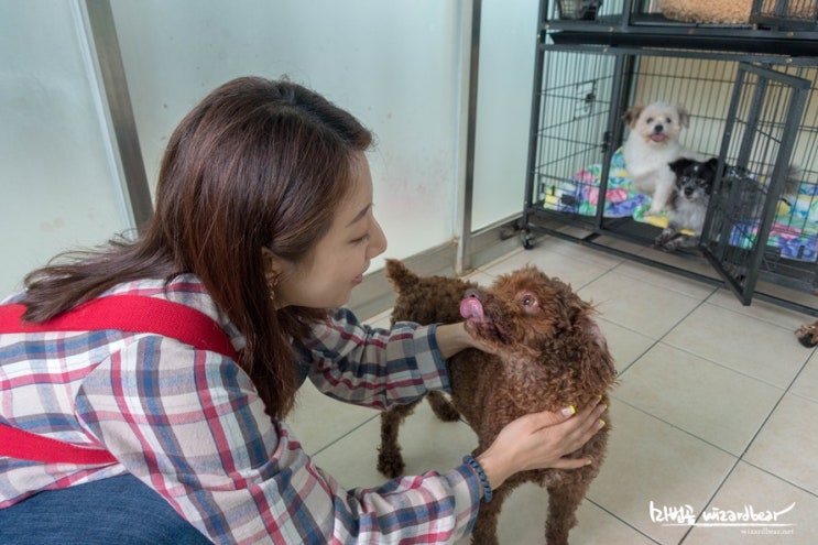 2019 동물자유연대 결연의 날 방문 후기 (+동물 친구들) 2019 동물자유연대 결연의 날 방문 후기 (+동물 친구들)