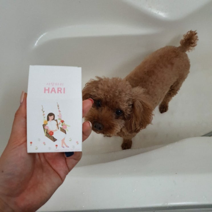  강아지가려움 천연비누 사랑하리로 각질제거까지 한번에!