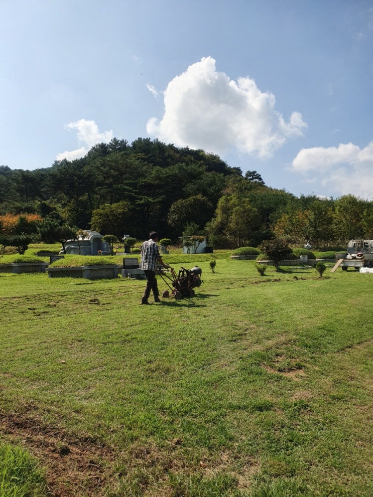  산소잔디심기 좋은 2020년윤달 알아보기