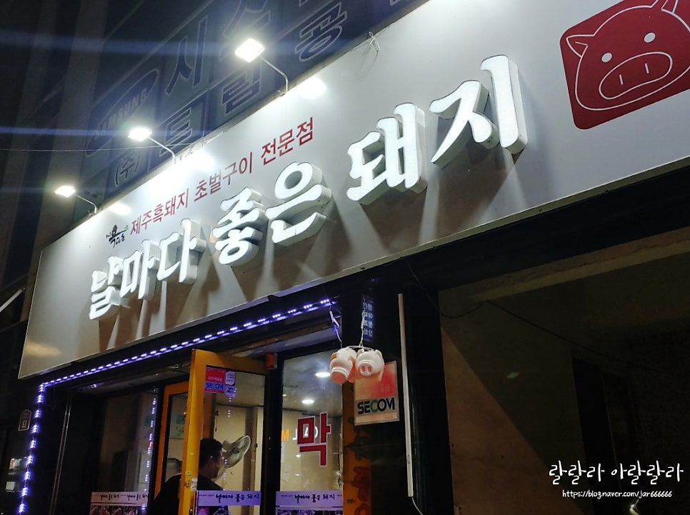 날마다좋은돼지 사진 2