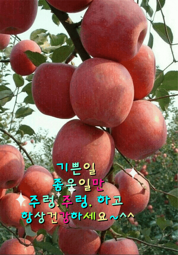  제18호 태풍 미탁 북상중...제주 육상 직접 강타하나