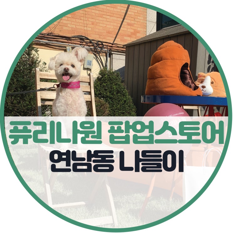  퓨리나원 건강하우스 연남동 팝업스토어 나들이