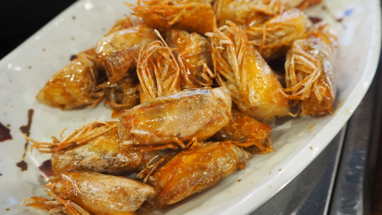  강남 구청 새우 맛집 활새우직판장