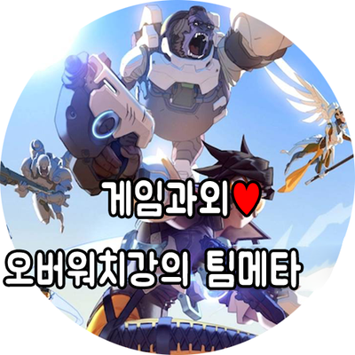  오버워치대리 고품질 게임대행 팀메타에서!!