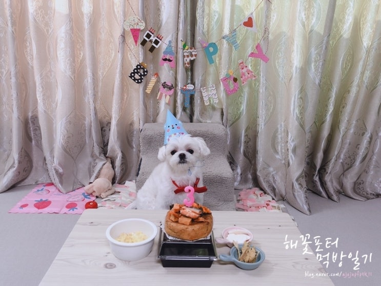  19.9.23~9.29 한주 먹부림 일기 ᵔᴥᵔ