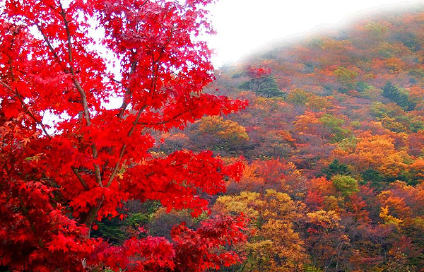  가을 등산 초보라서  궁금해요 !
