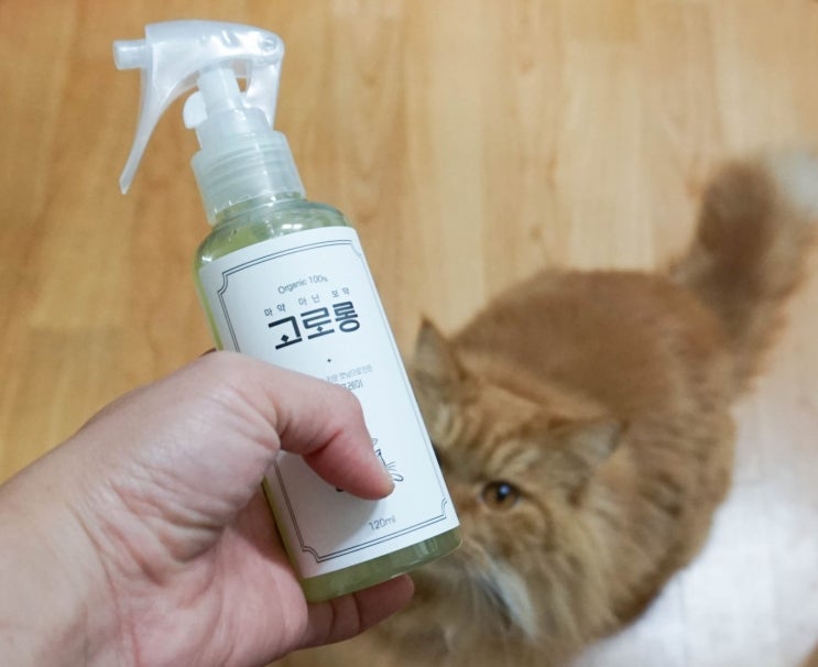 고로롱 캣닢 스프레이 고양이용품 후기