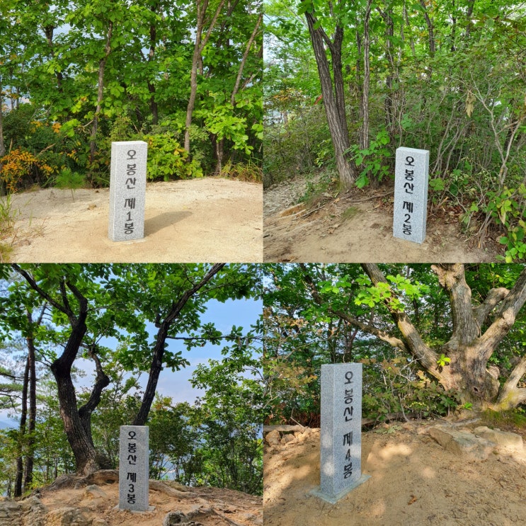  (명산 어게인71)정상석 숨은그림 찾기의 묘미, 오봉산 산행
