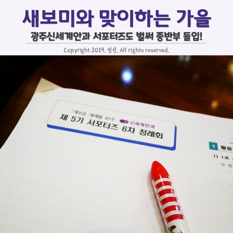 광주 신세계안과 새보미 서포터즈 6차 정례회 생생 이야기 광주 신세계안과 새보미 서포터즈 6차 정례회 생생 이야기