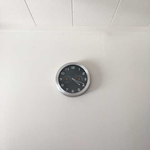  뉴질랜드 워홀/summer time