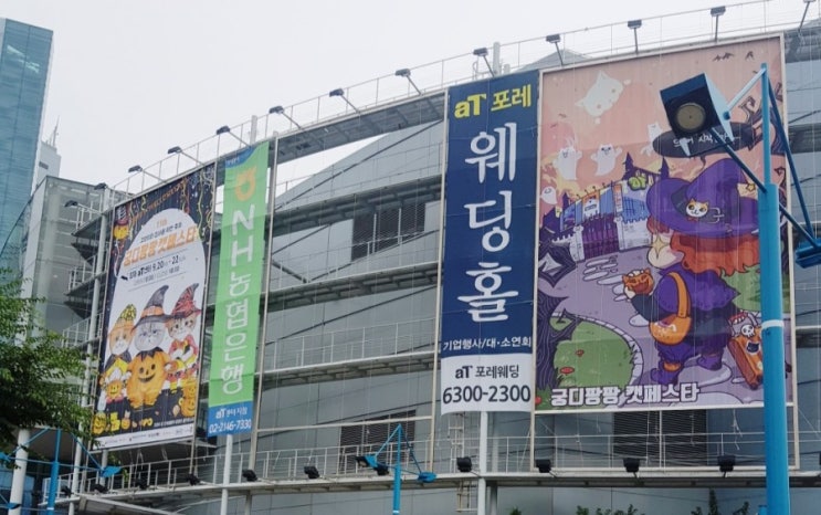  궁디팡팡캣페스타(2019.09)