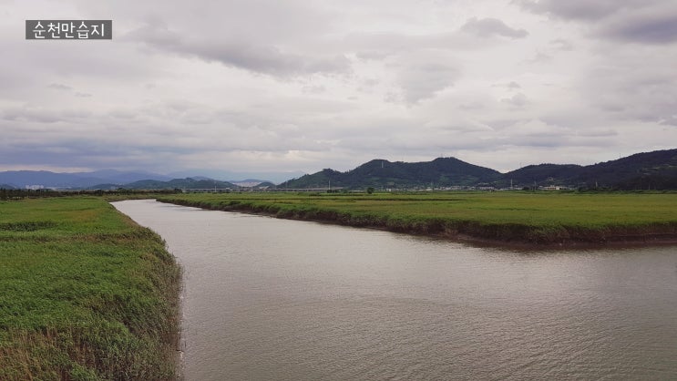  [190811 순천] 순천만습지