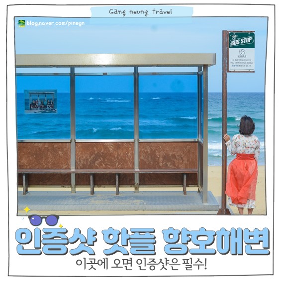  방탄소년단 앨범자켓 촬영지 향호 해변