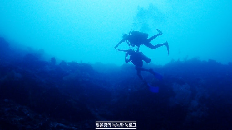 세부다이빙 초보부터 자격증까지 가능한 락다이브