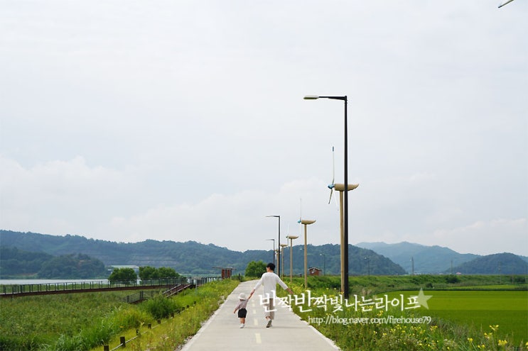  서천 신성리 갈대밭 천천히 걷기