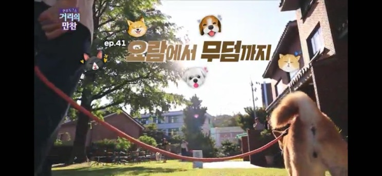  [거리의 만찬] 개들과 함께하는 거리의 만찬!! <요람에서 무덤까지>